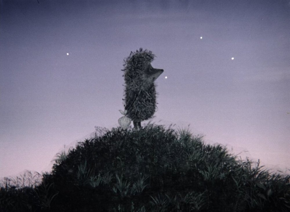 Норштейн Ежик в тумане