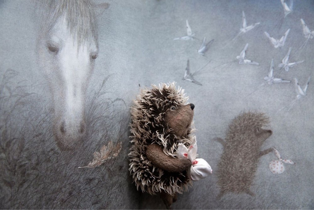 Ежик туманный