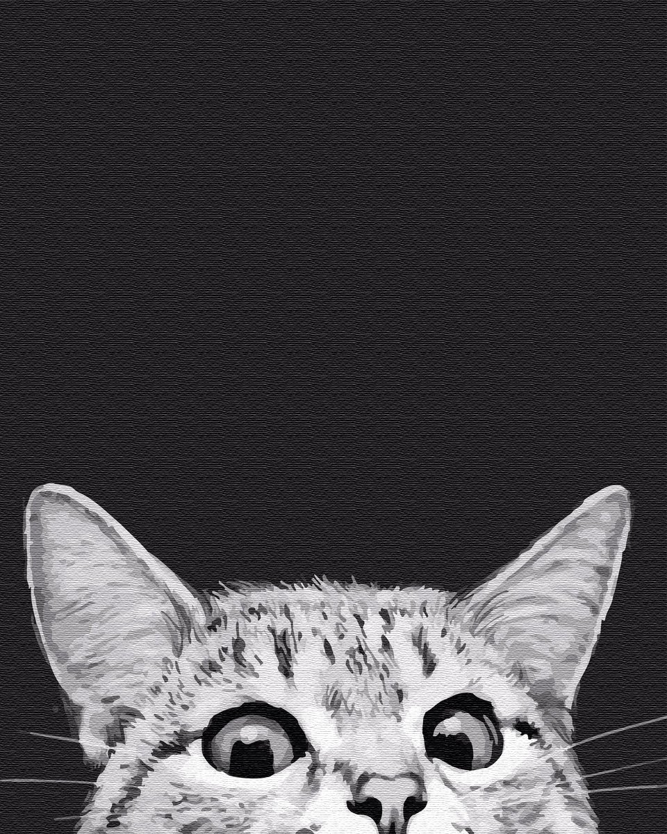 Кот выглядывает