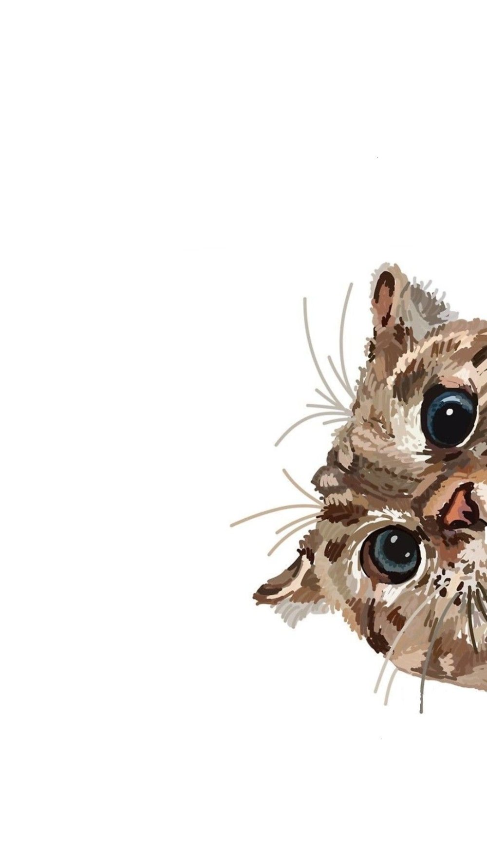 Кот выглядывает