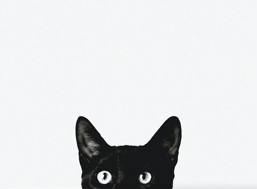 Кошка Джон Бертелли