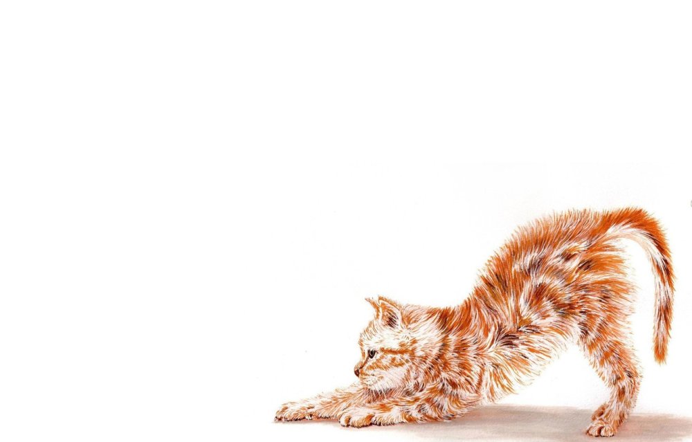 Фон для презентации с котиками