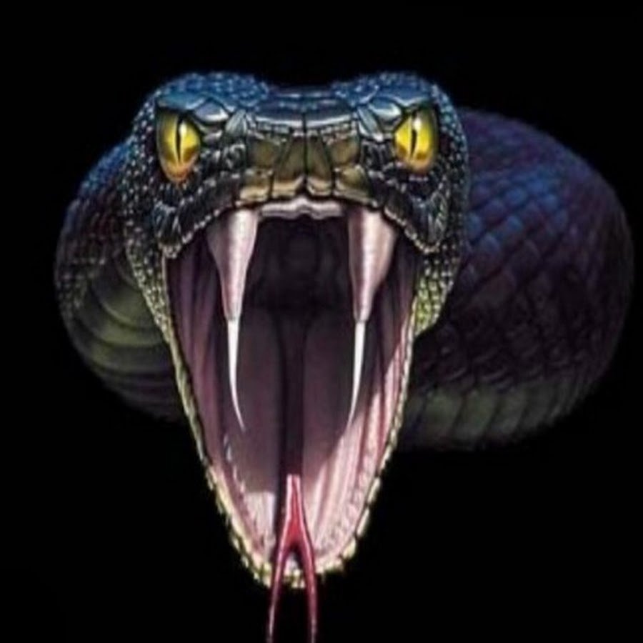 Змеиный оскал