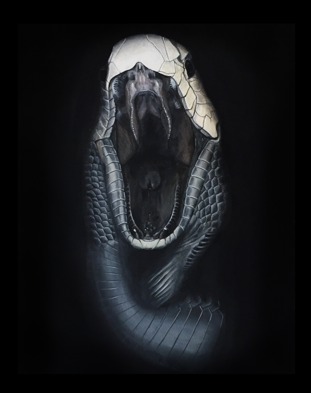 Королевская Кобра Нагайна