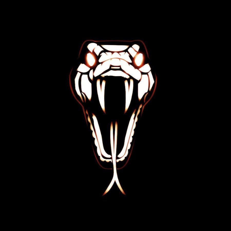 Кобра на темном фоне