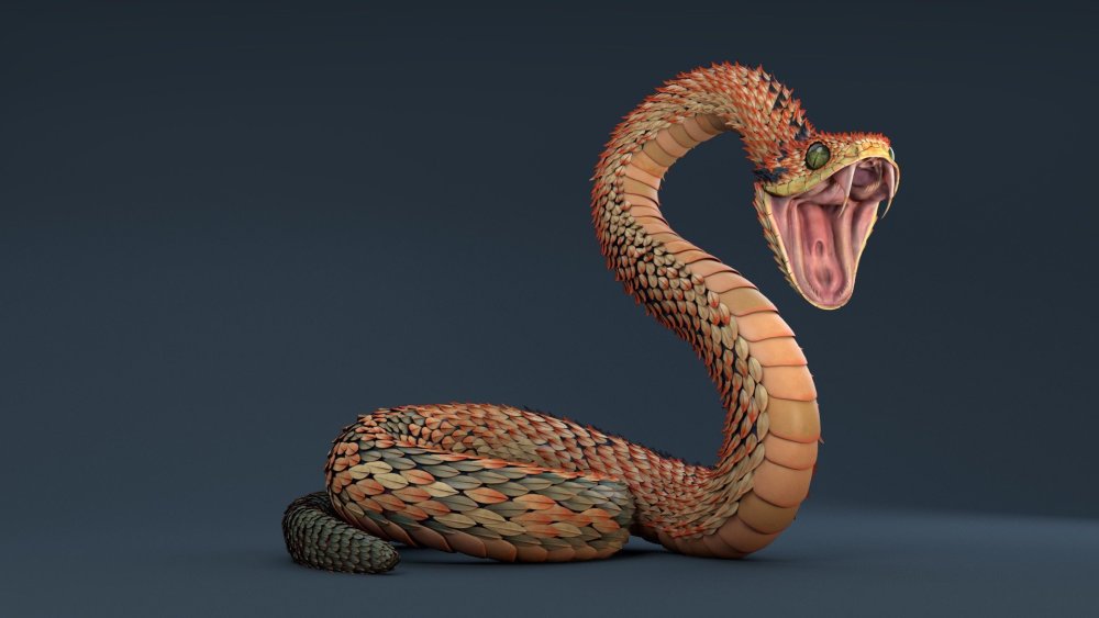 Змея Кобра