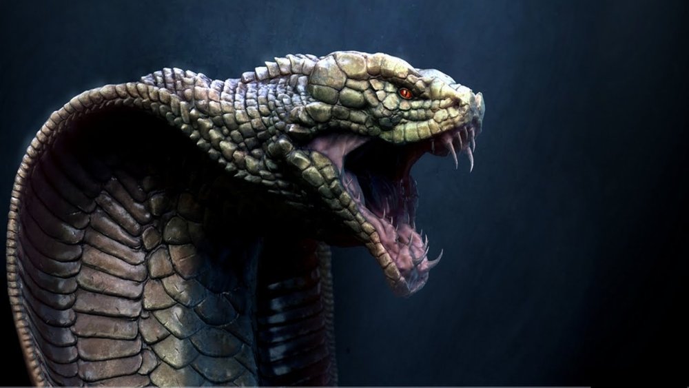 Королевская Кобра арт