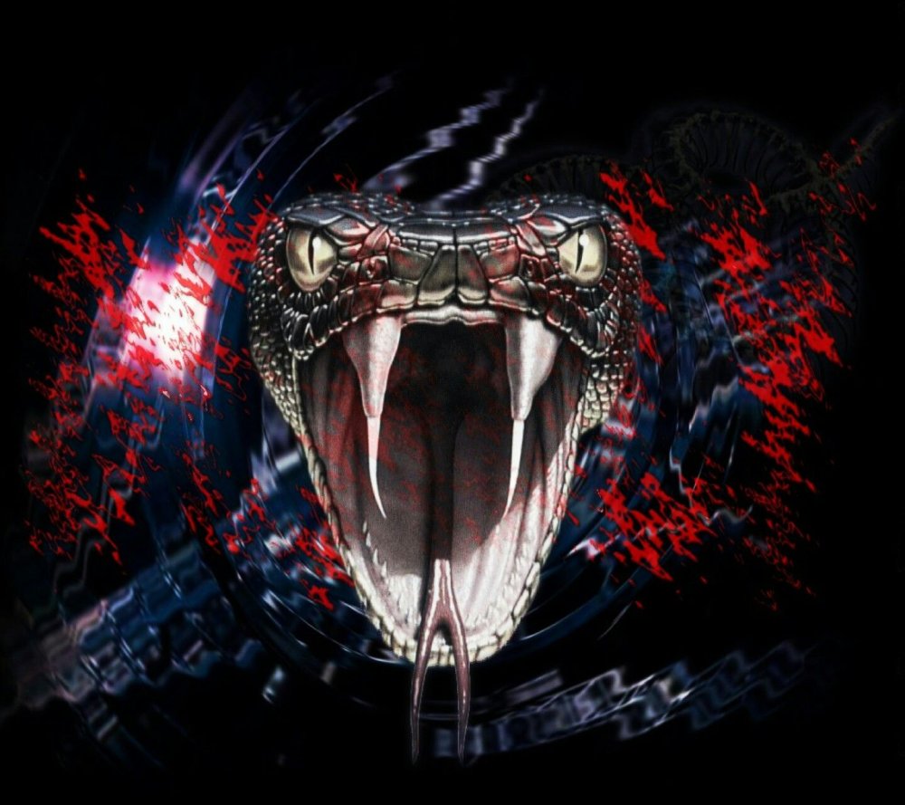 Королевская Кобра против черной мамбы