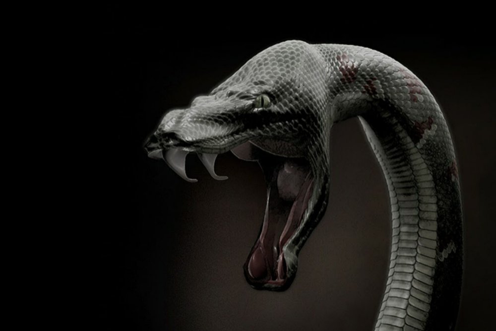 Кобра черная мамба