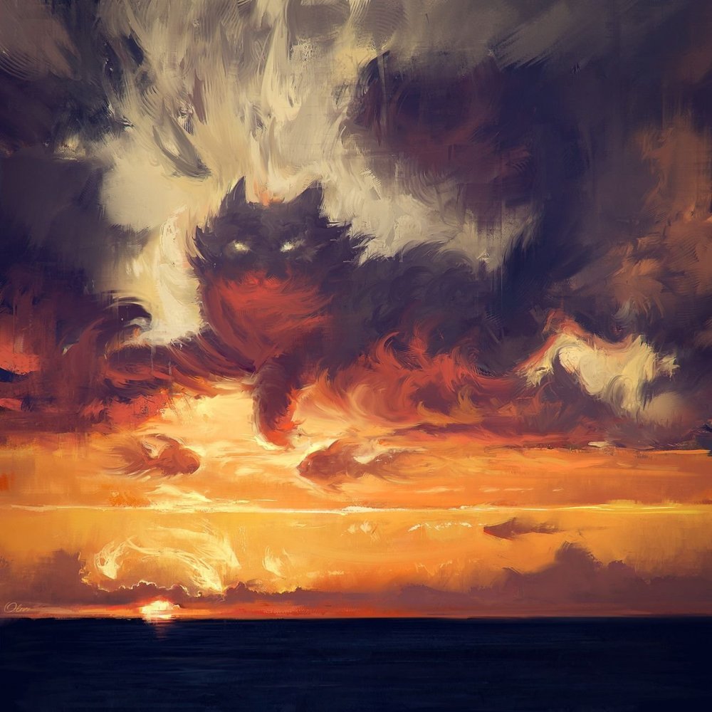 Рассвет и кот