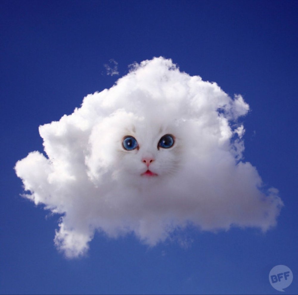 Облако в виде кота