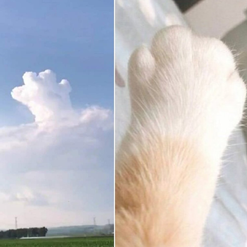 Облако в виде кота