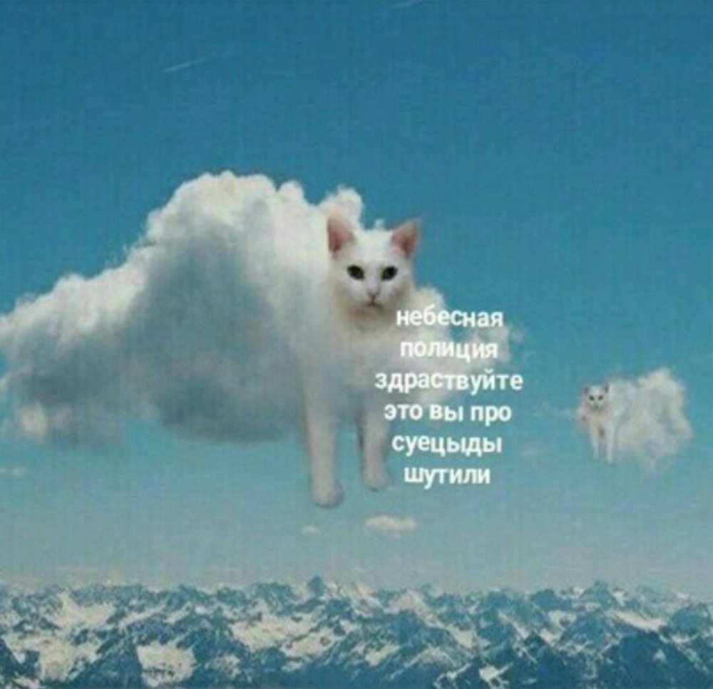 Небесная полиция