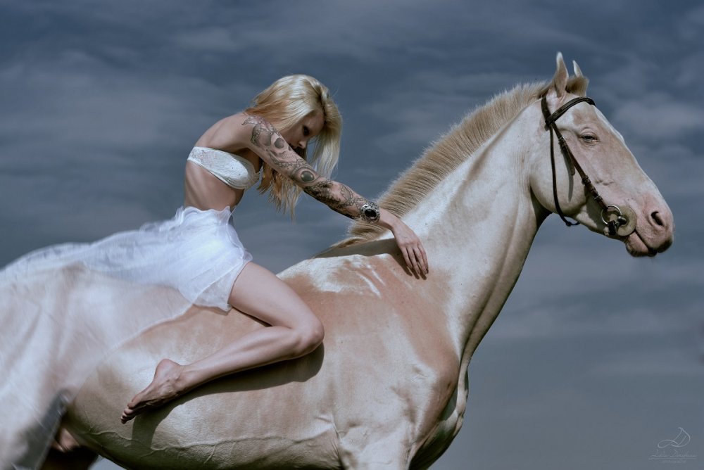 Лошадь изабелловой масти фото