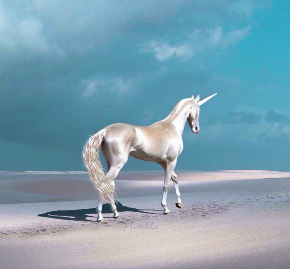 Ахалтекинская Изабелловая