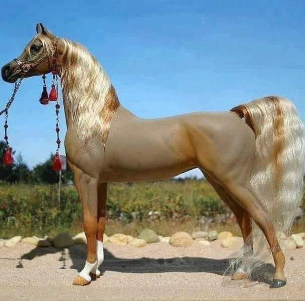 Изабелловая масть лошади