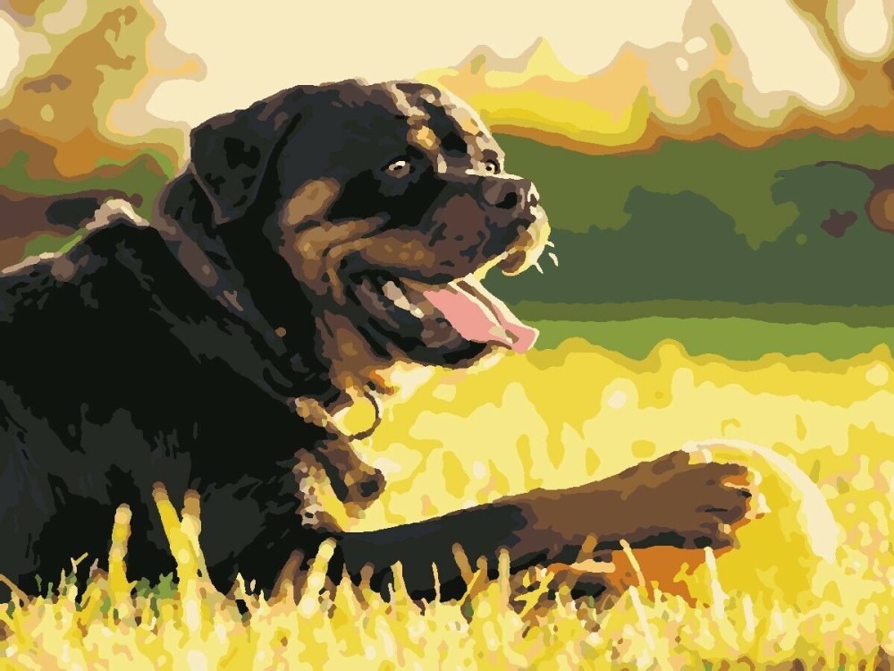 Картина по номерам на холсте ротвейлер