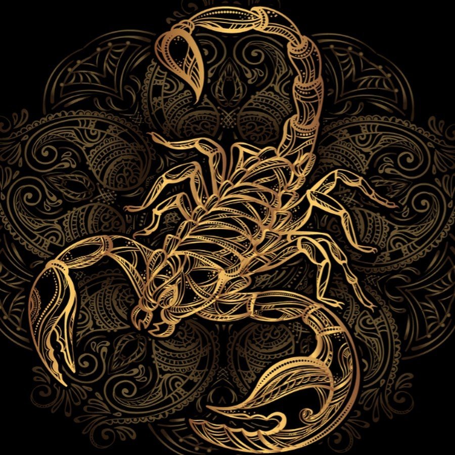 Скорпион вектор