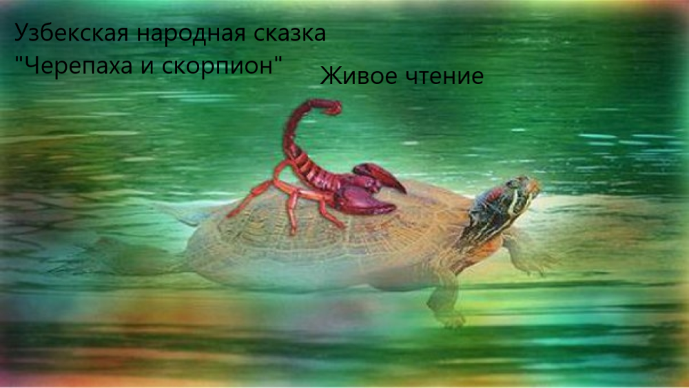 Черепаха и Скорпион басня