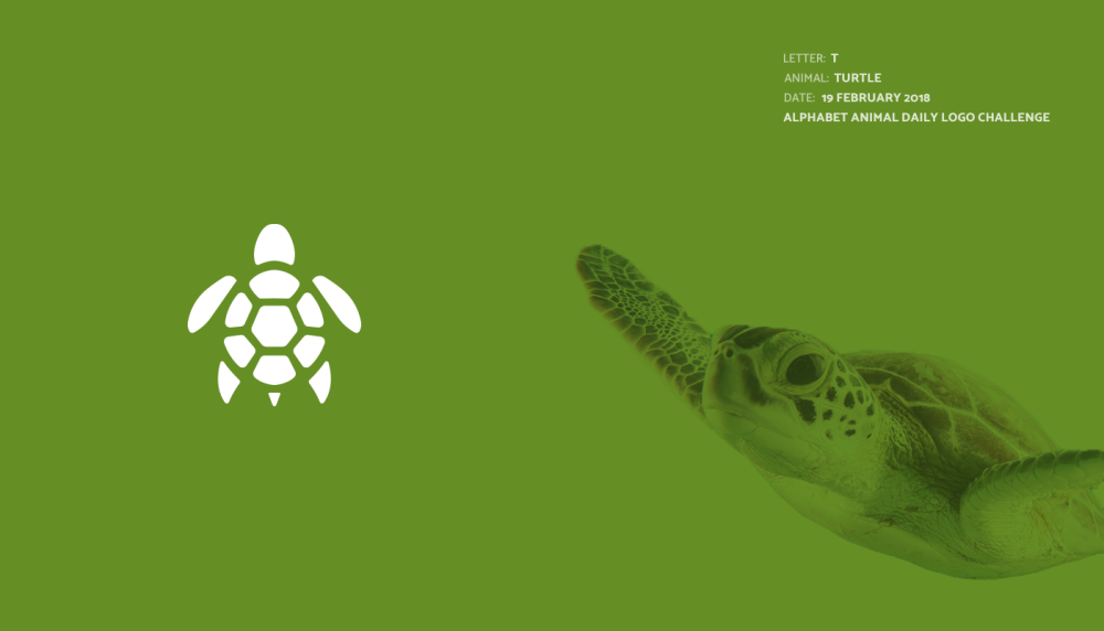 Черепаха logo