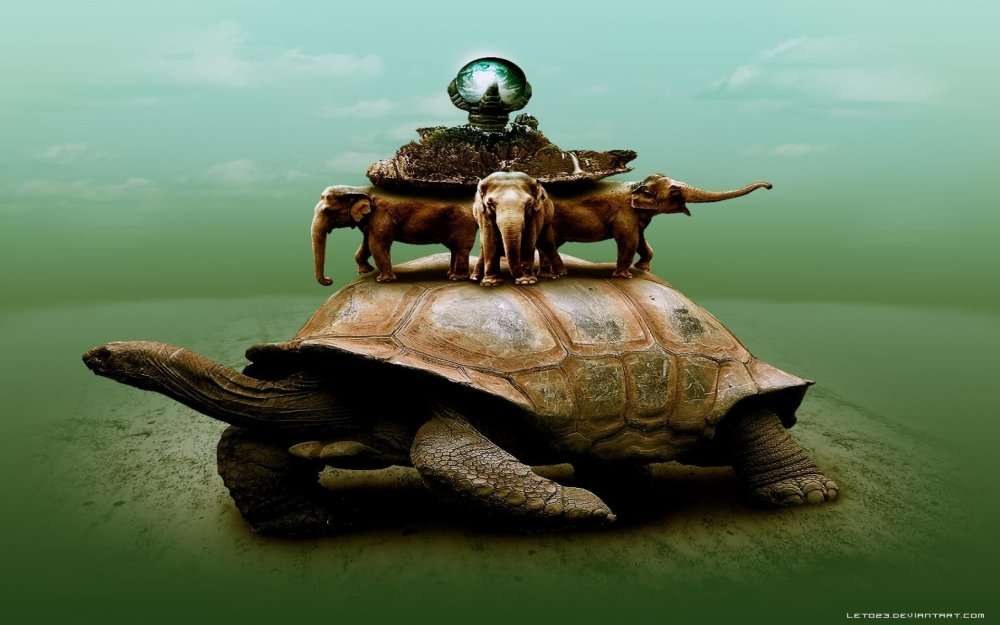 Черепаха Матурин