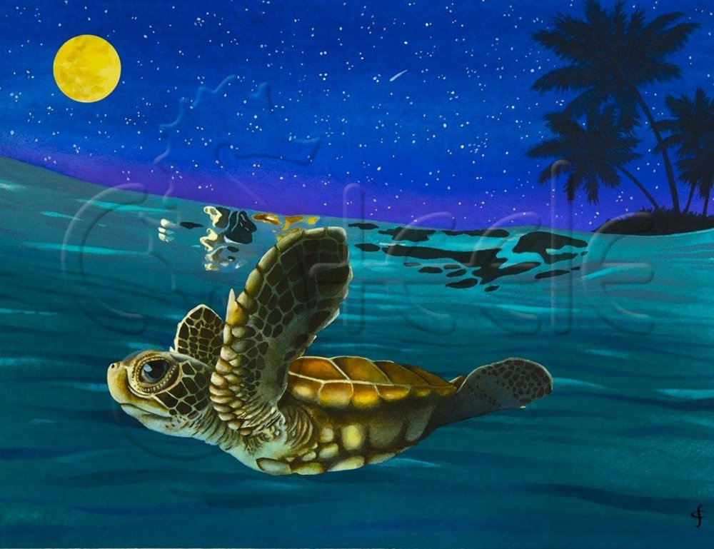 Мистическая черепаха