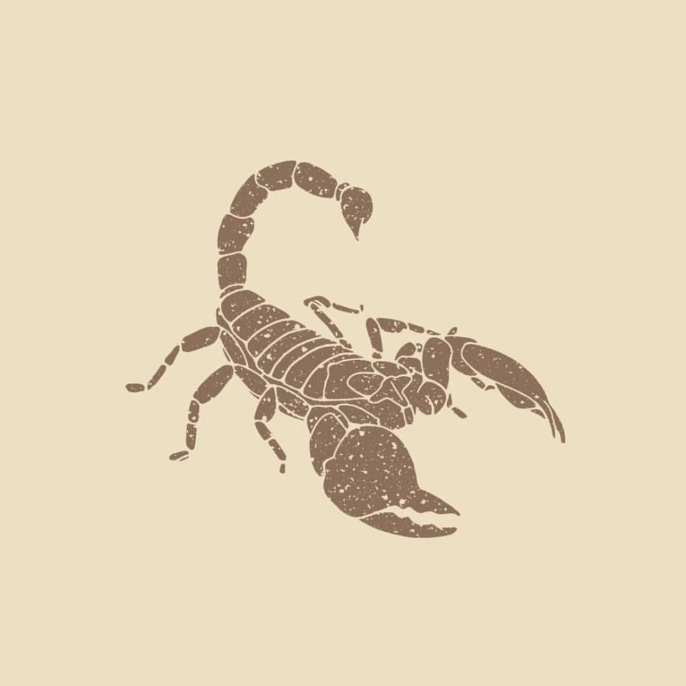 Бежевый Скорпион