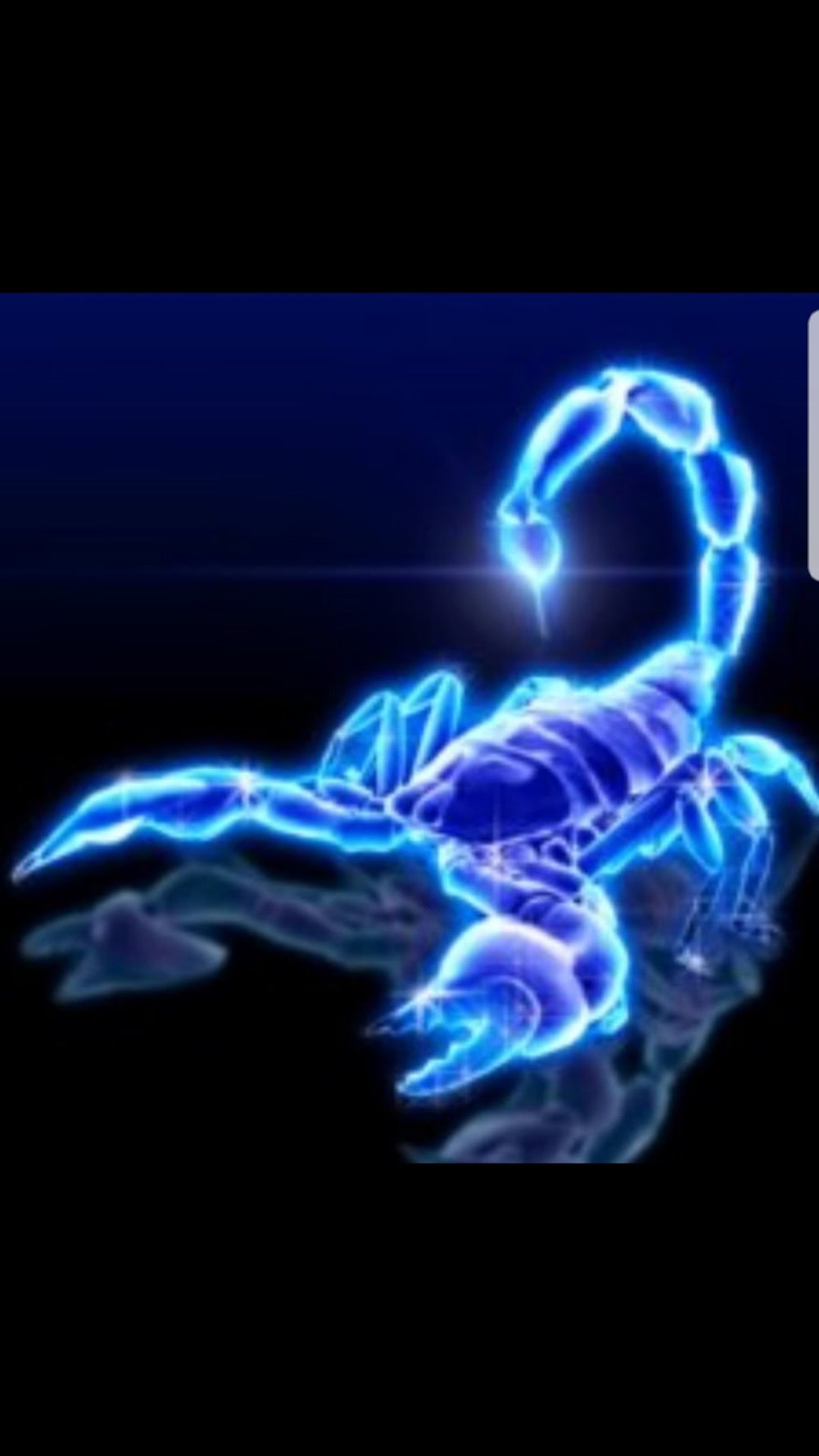 Морские черепахи много