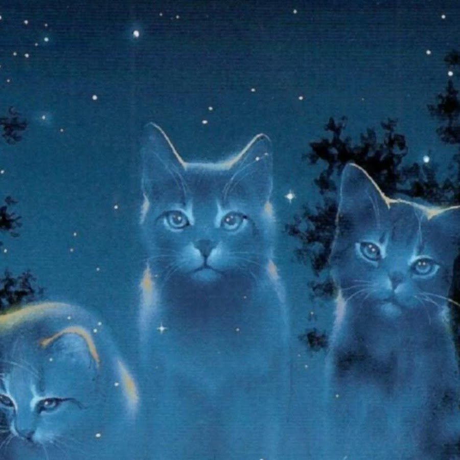 Звездная пыль коты Воители