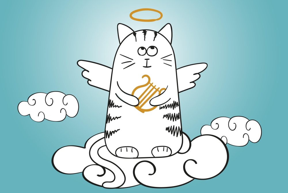 Котенок на облачке