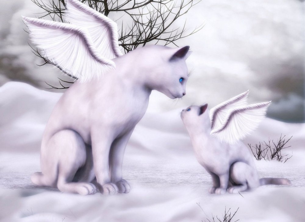 Котик с крыльями