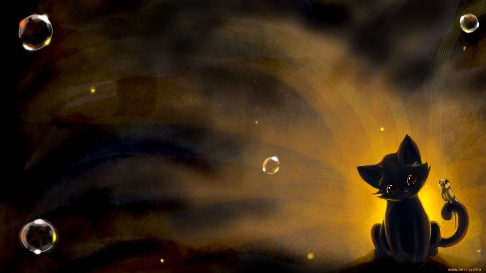 Кошка на темном фоне