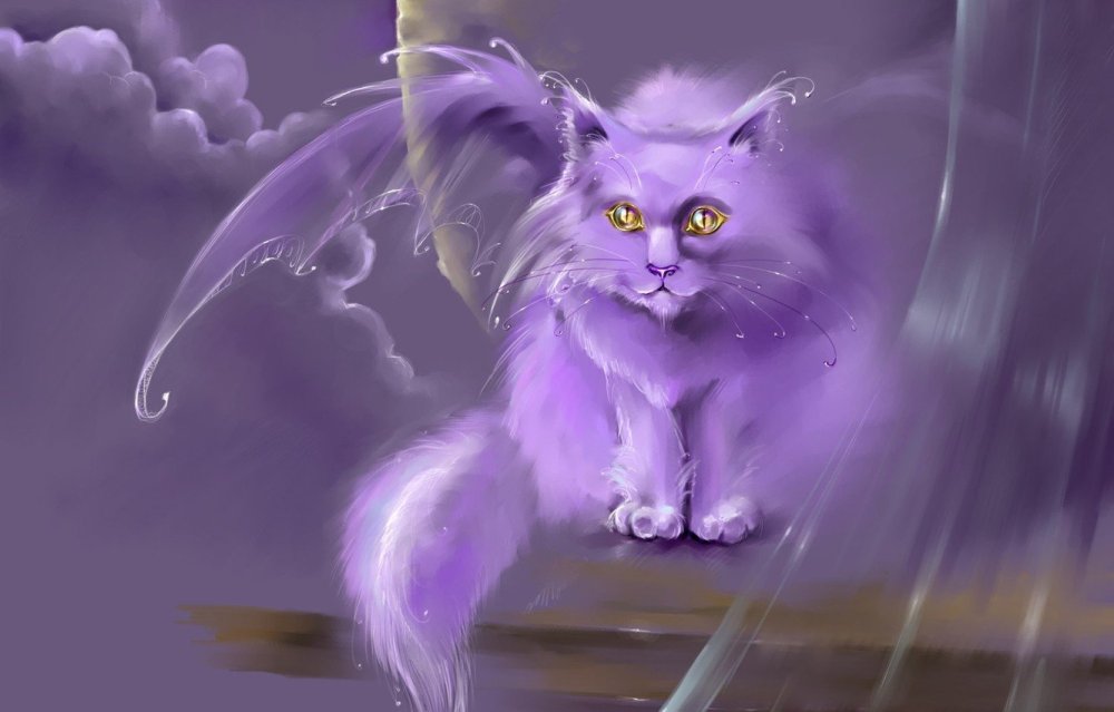 Коты Шредингера Рик и Морти