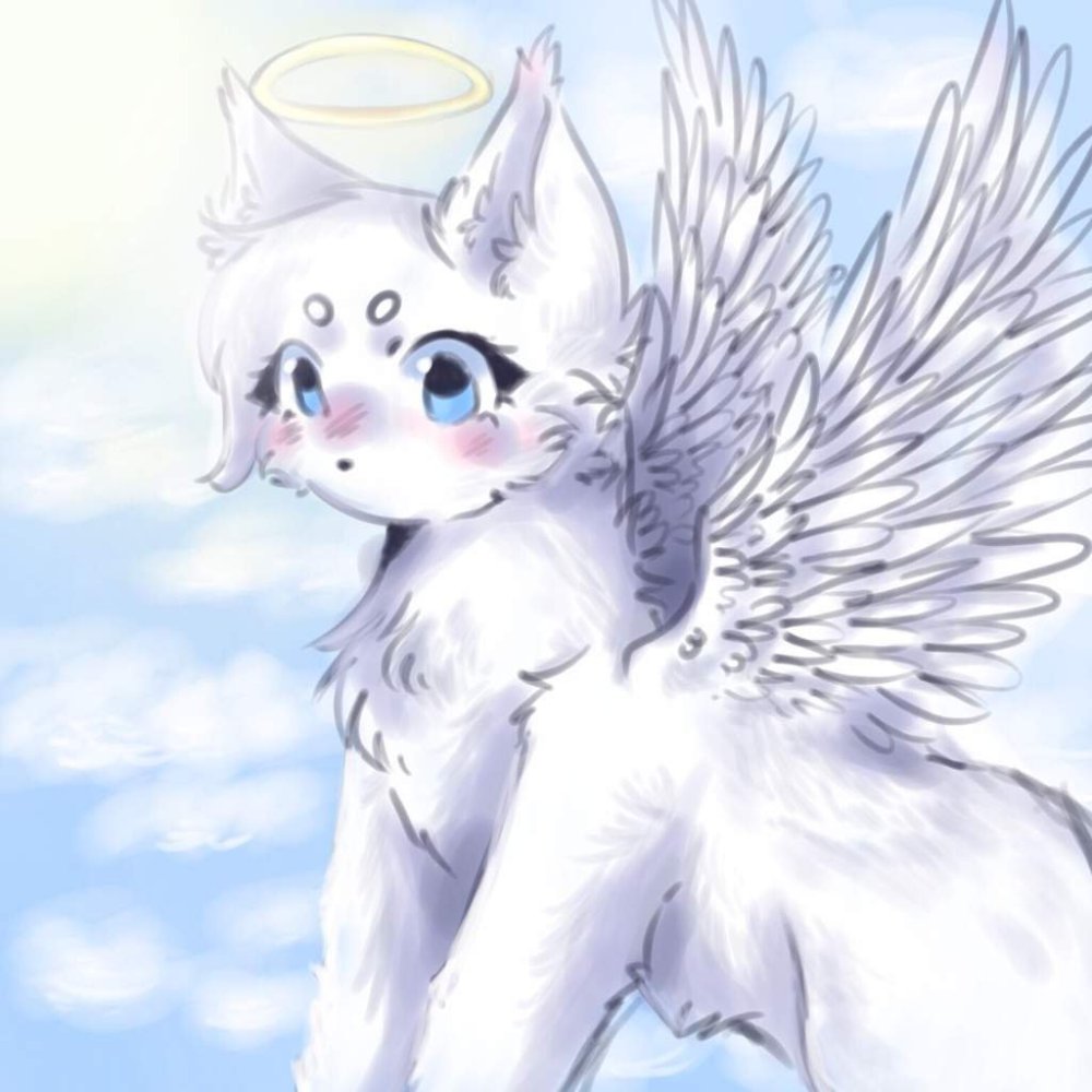 Кастл кэтс Ангелочек