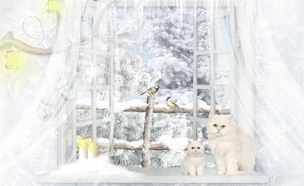 Зимняя сказка