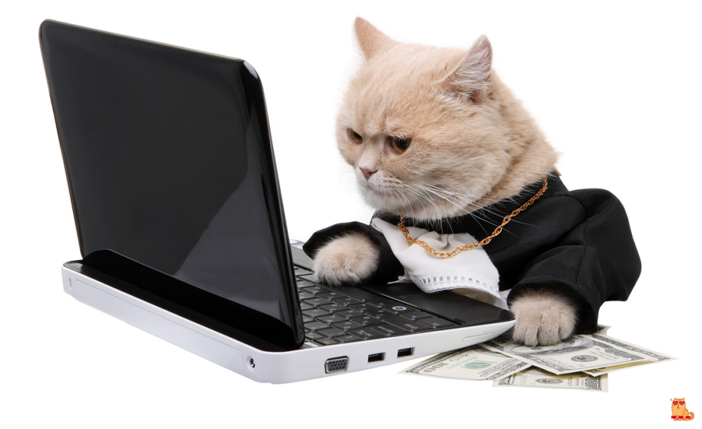 Кот за ноутом