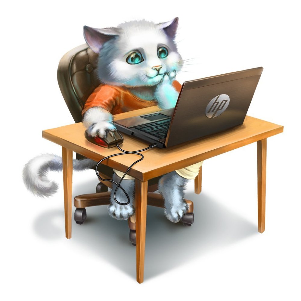 Кот за компьютером