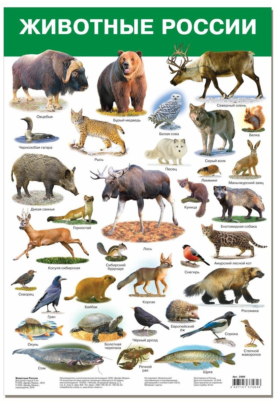 Животные России