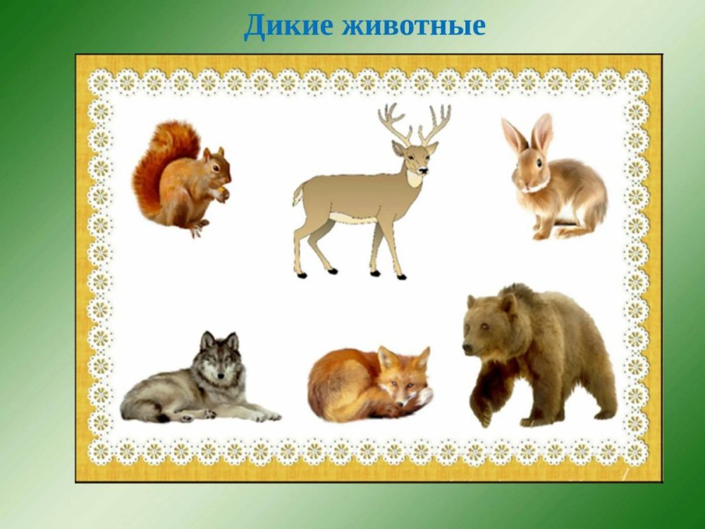 Высечки животных