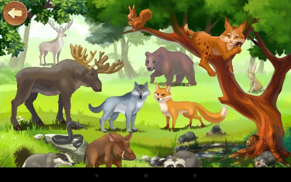 Животный мир Красноярского края