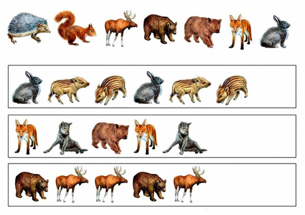 Дикие животные для дошкольников