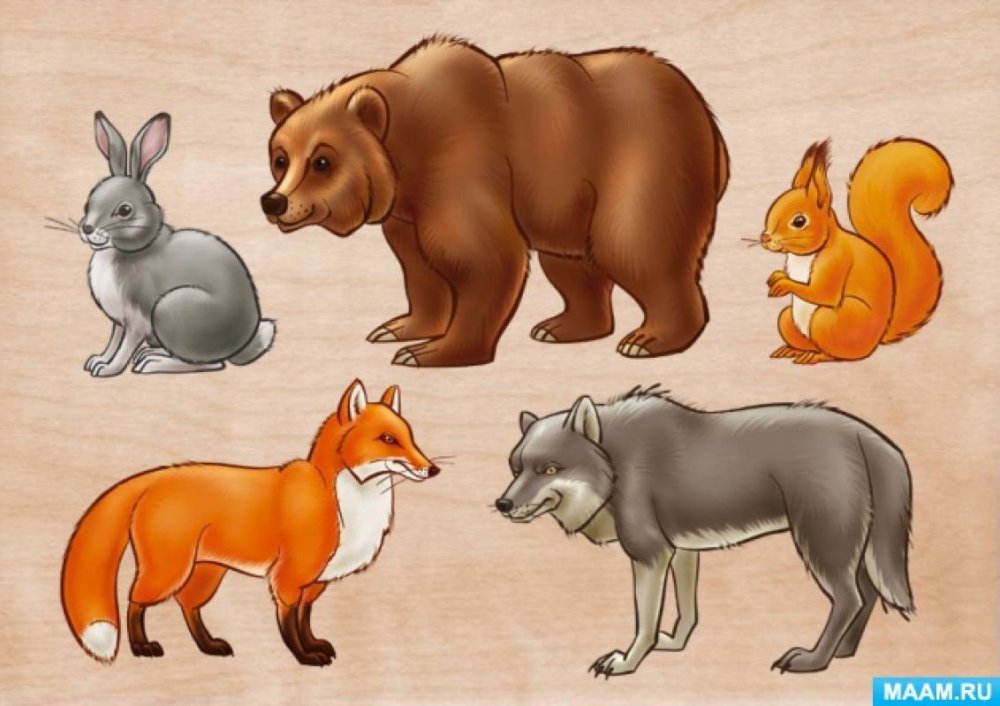 Медведь заяц лиса еж волк белка Дикие животные