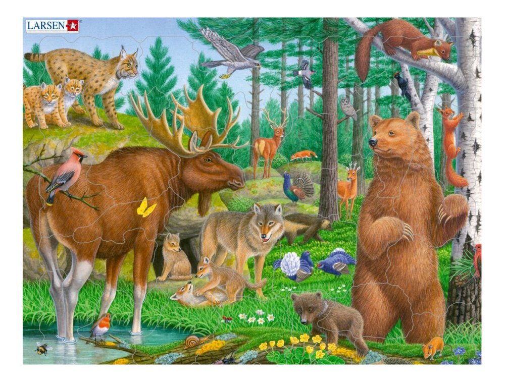 Тебердинский заповедник фауна