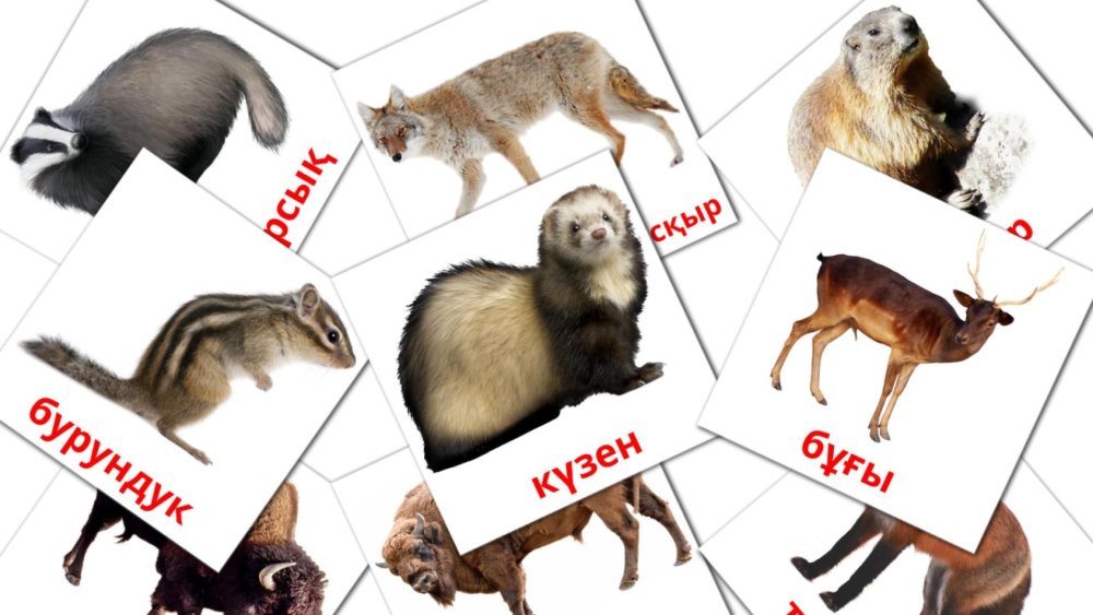 Осенние обои на рабочий стол