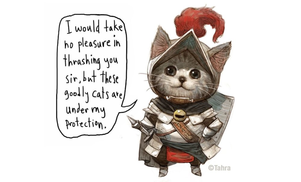 Слава котам