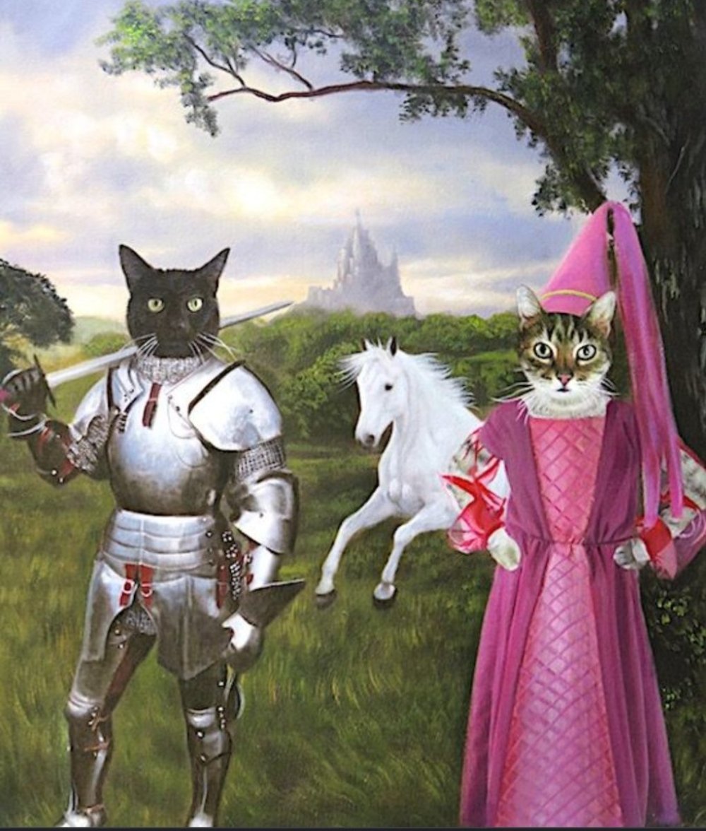 Кота Рыцарская