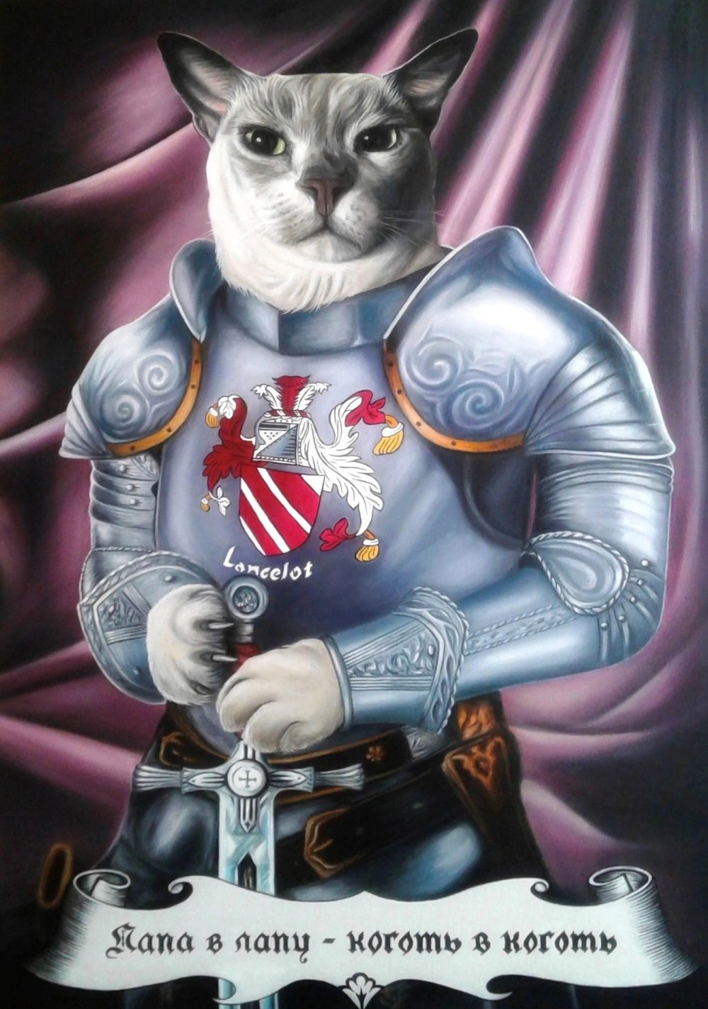 Кот в доспехах арт