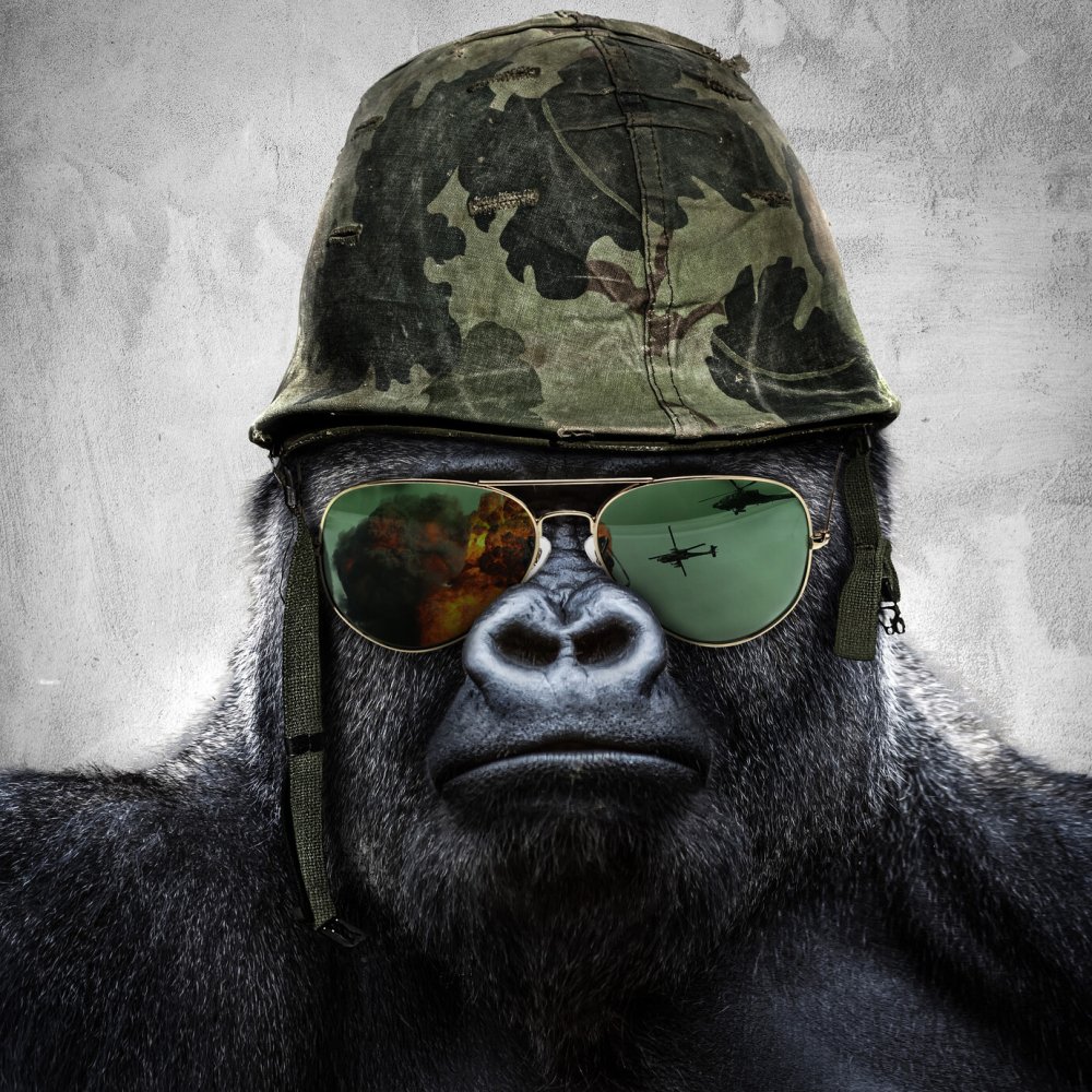 Горилла с автоматом