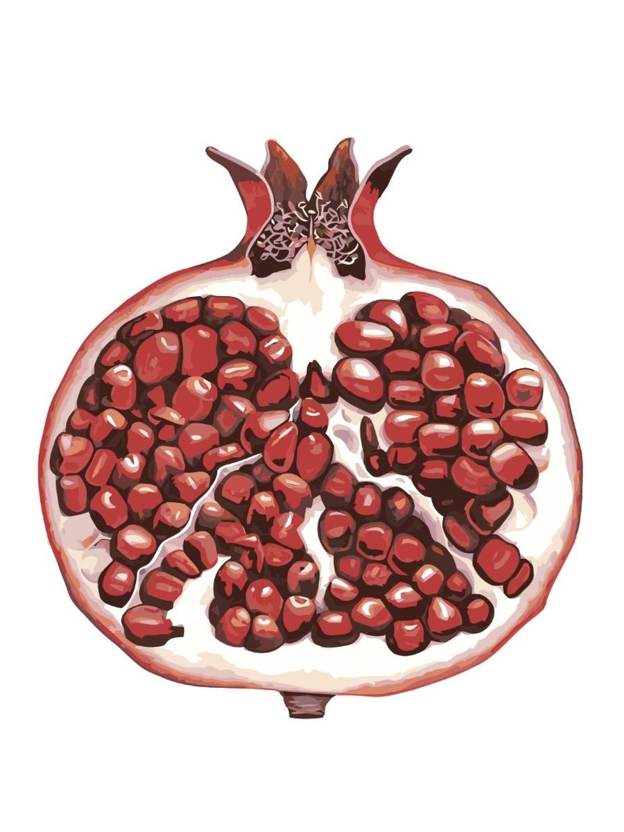 Гранат в разрезе