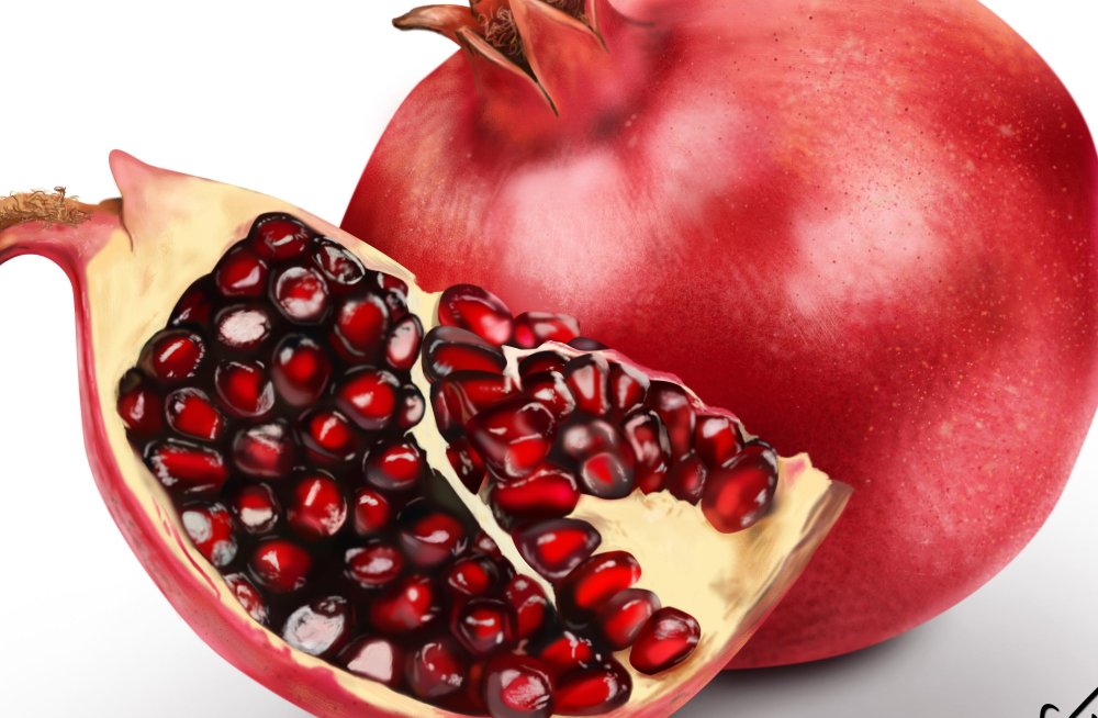 Плод граната в разрезе